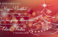 Felices Fiestas y Próspero 2020