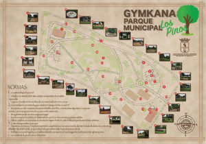 Yincana Parque Municipal Los Pinos