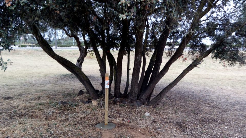 Dos Hermanas, referente provincial de orientación, estrena circuito permanente