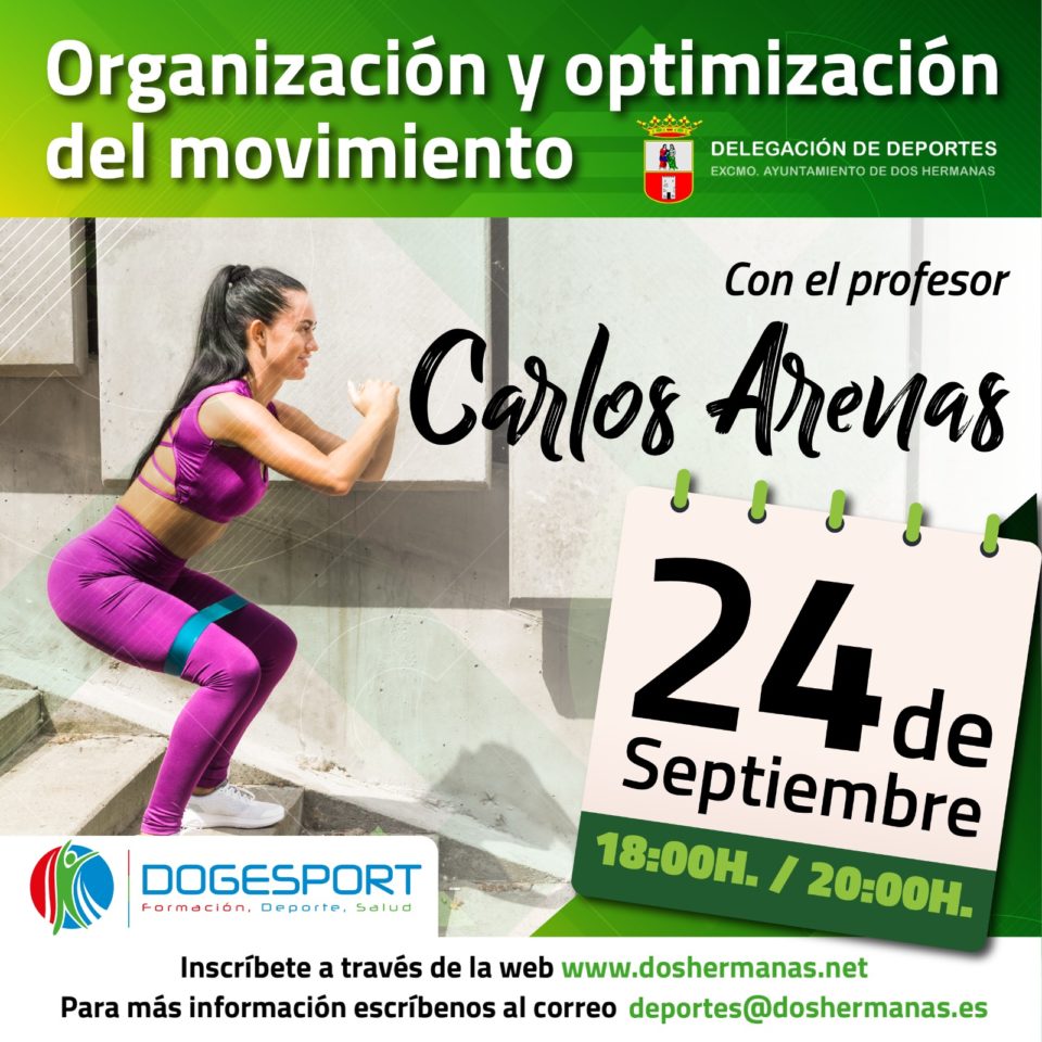 Organización y optimización del movimiento