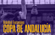 Torneo Ciudad de Dos Hermanas de Voleibol