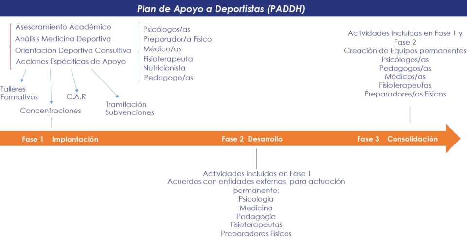 Plan de Apoyo a Deportistas - Timing
