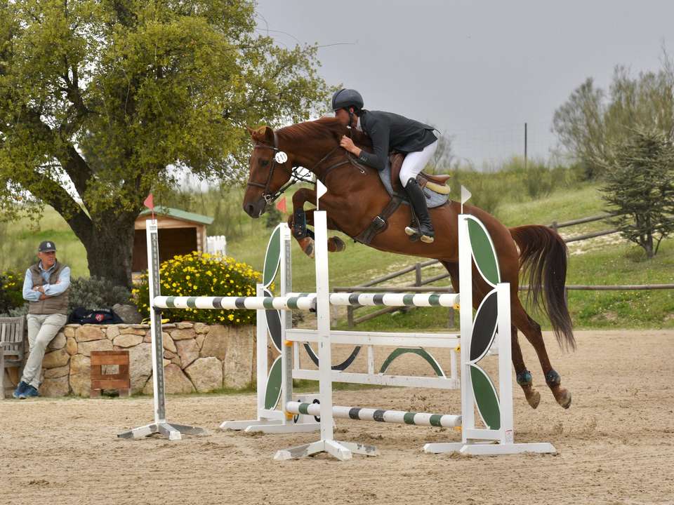 Juan Carlos Alanís Camero