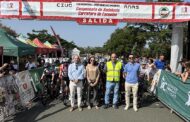 Campeonato de Ciclismo de Andalucía Carretera Escuelas