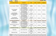 Cursos de Natación Verano 2026